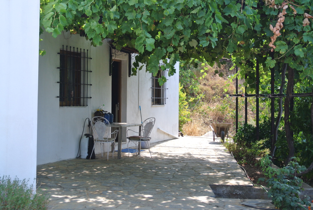 Huis te koop in Platanias Pilion met prachtig overgroeid terras
