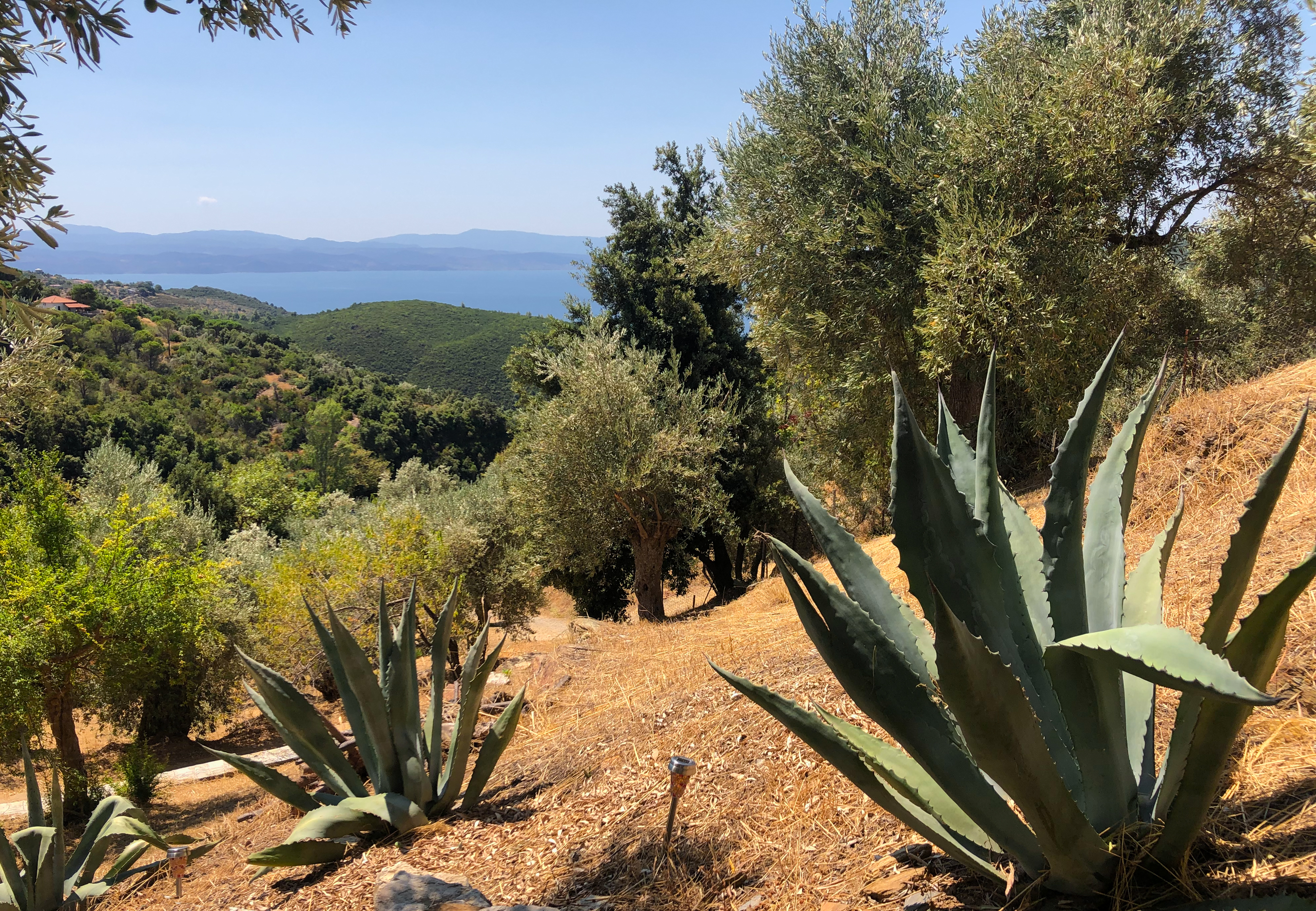 Huisje te huur Kalivi Elena zicht op zee Pilion Griekenland