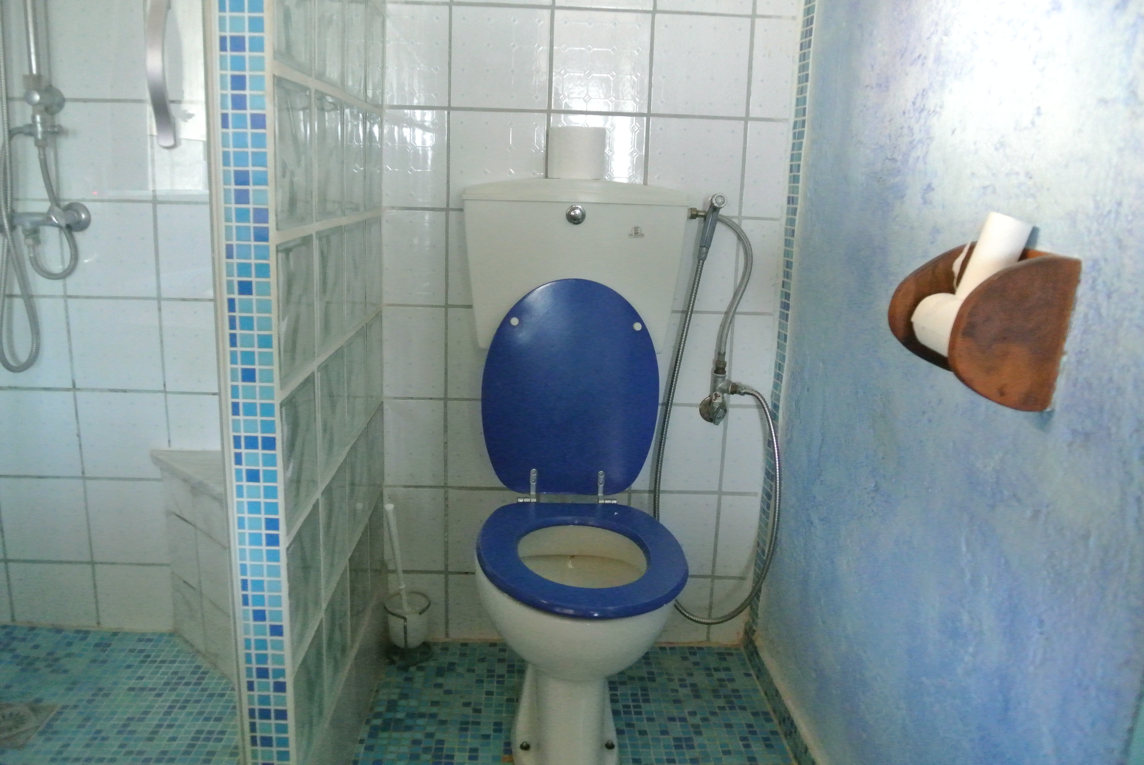 Huis te koop badkamer Pilion Griekenland