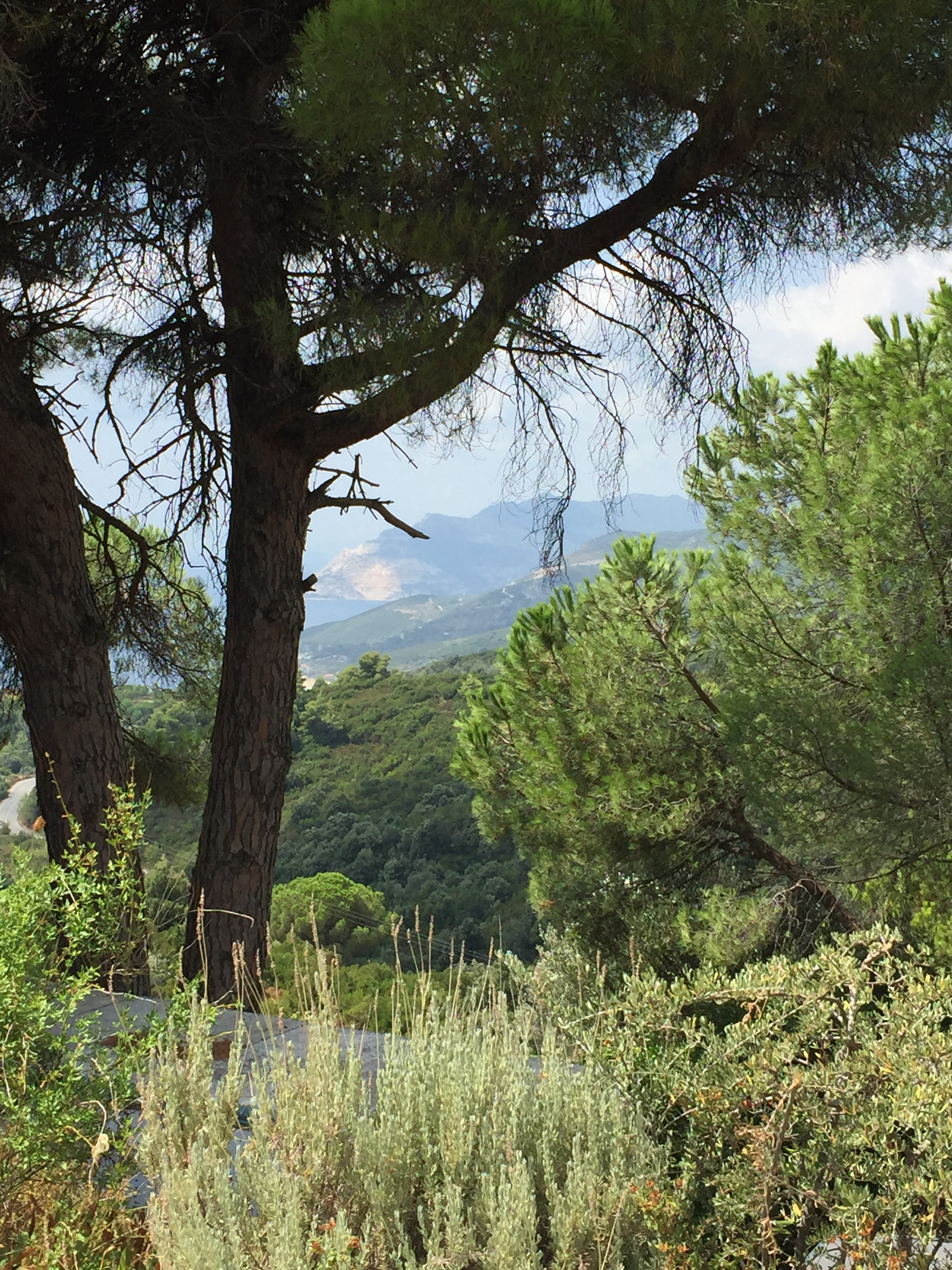 Uitzicht Villa Trochala te koop Pilion Griekenland