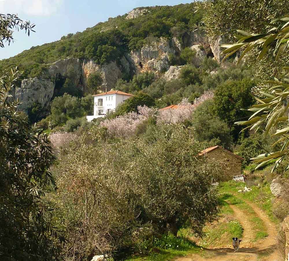 Cliffhouse huis te huur Pilion Griekenland Afeilianes