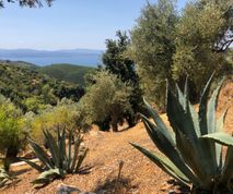 Huisje te huur Kalivi Elena zicht op zee Pilion Griekenland