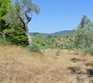 Te koop grond vlak bij Katigiorgis Pilion Griekenland