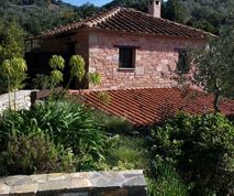 Olive Store cottage Greece house for rent