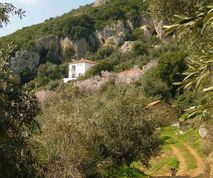 Cliffhouse huis te huur Pilion Griekenland Afeilianes